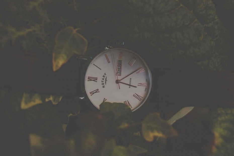 5 Best Brands of Watches Under 500